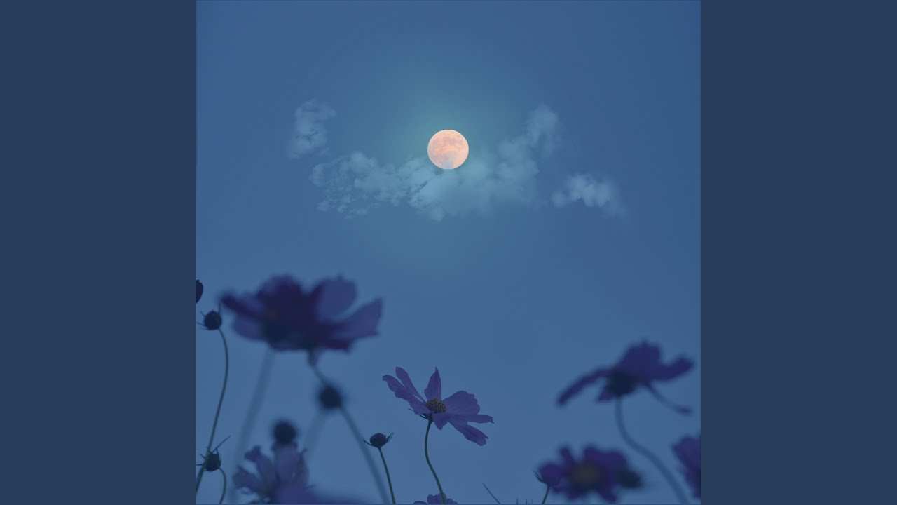 Moonbeams