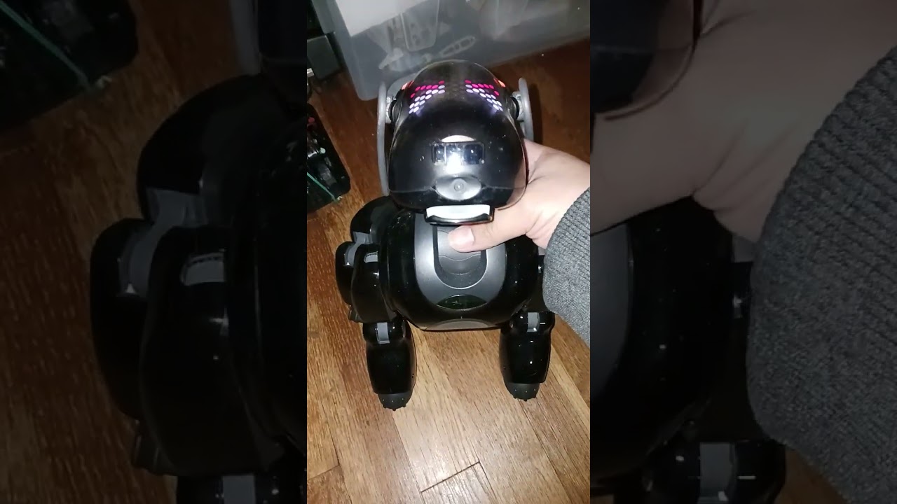 Ремонт Sony Aibo Ers-7 (Mind 3) для Эмили (тестирование второго устройства)