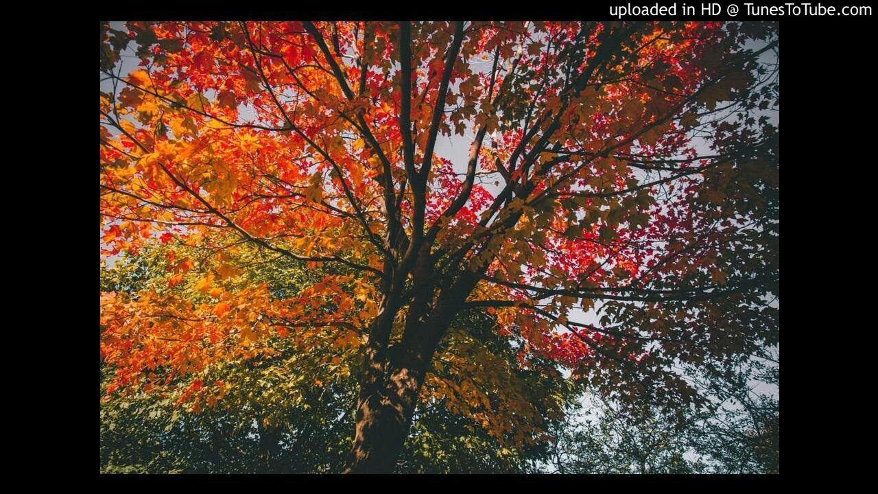 J.S. Bach - French Suite No.4 - 3. Sarabande