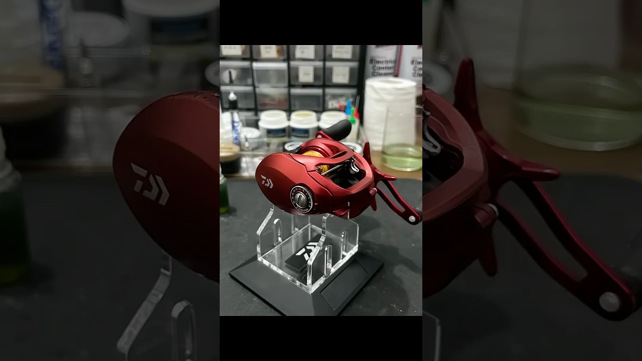 Daiwa Ardito service #fishing #daiwafishing #servicereel #fishingequipment