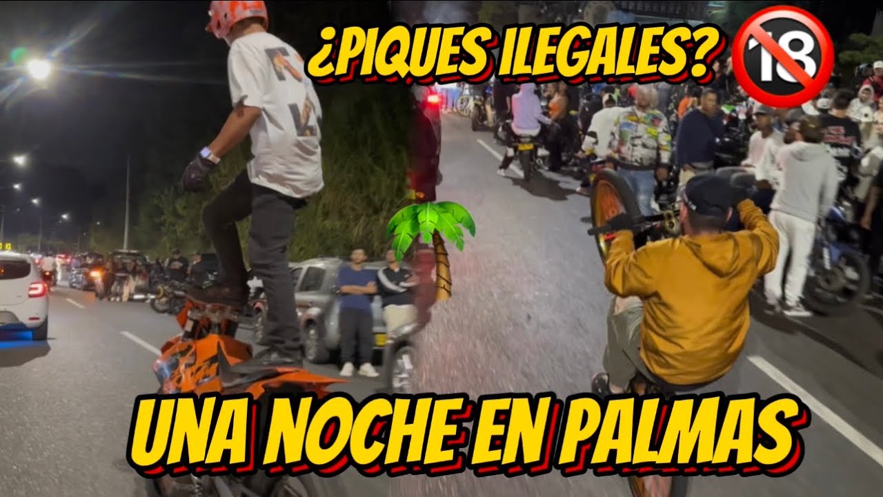 Esto es una noche en palmas 🌴(STUNT BIKELIFE WHEELIE)- ¿piques ilegales? - ZAGRAU_530