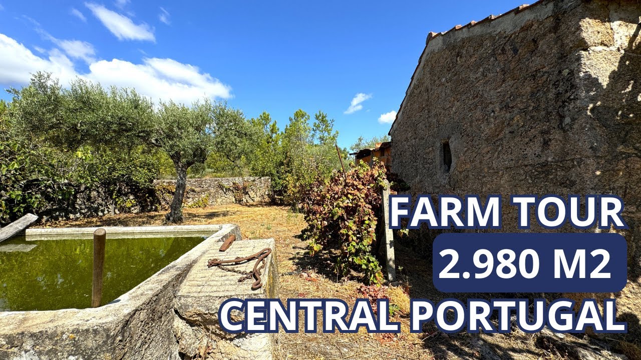 SOLD | Central Portugal Farm for sale with 2980 m2 | Soalheira, Fundão