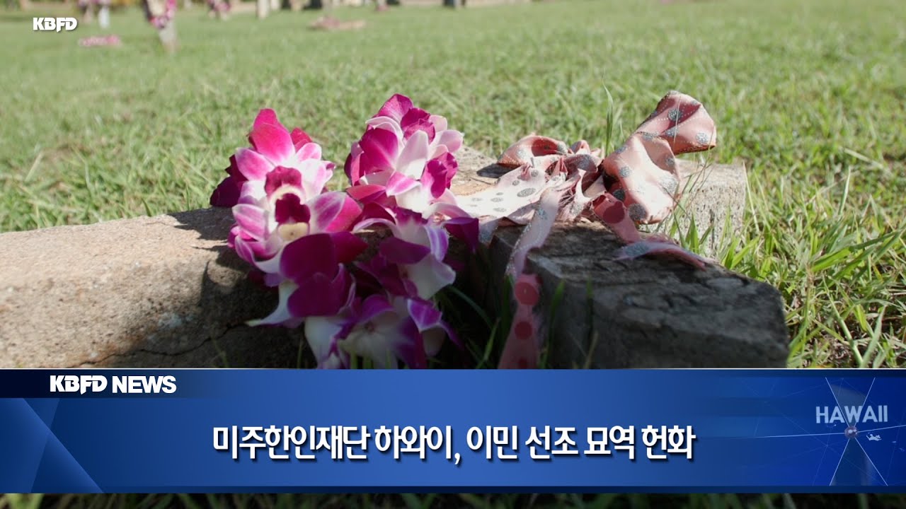 KBFD뉴스 [2026.01.12] 미주한인재단 하와이, 이민 선조 묘역 헌화