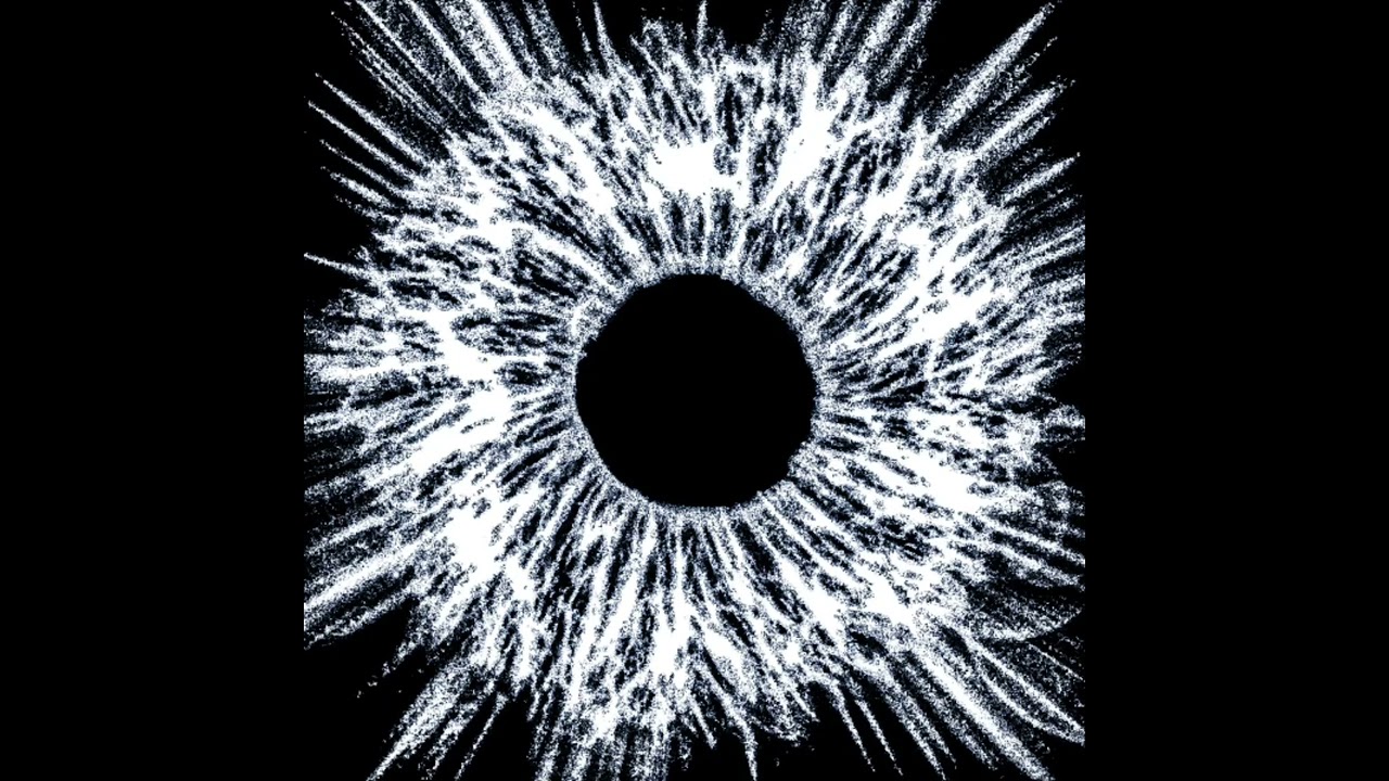 Absence 7