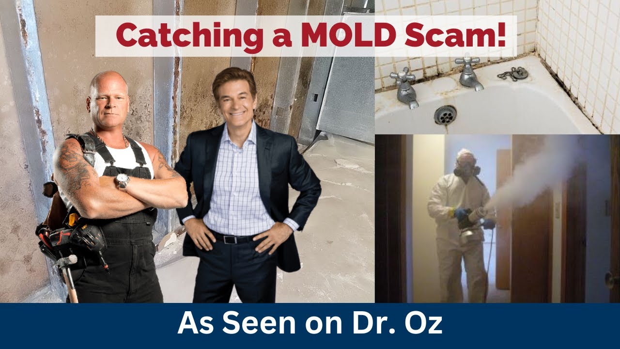 Mold Scammers EXPOSED by Mike Holmes and Dr. Oz