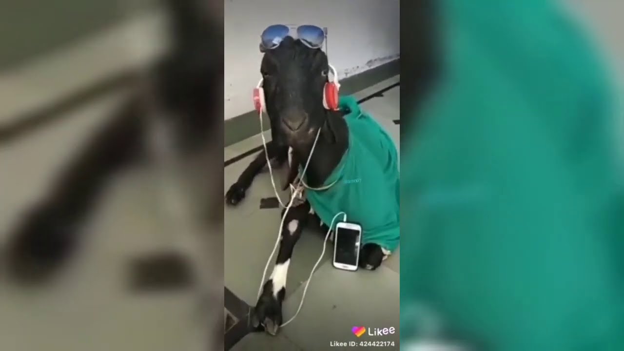 South Sudan Funny Videos 2020 🤣🤣🤣🤣🤣🤣