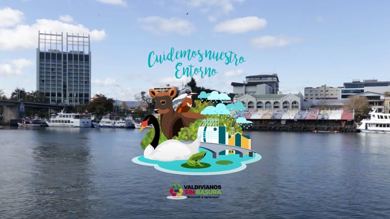 Fluvialito 2020: Cooperativa 