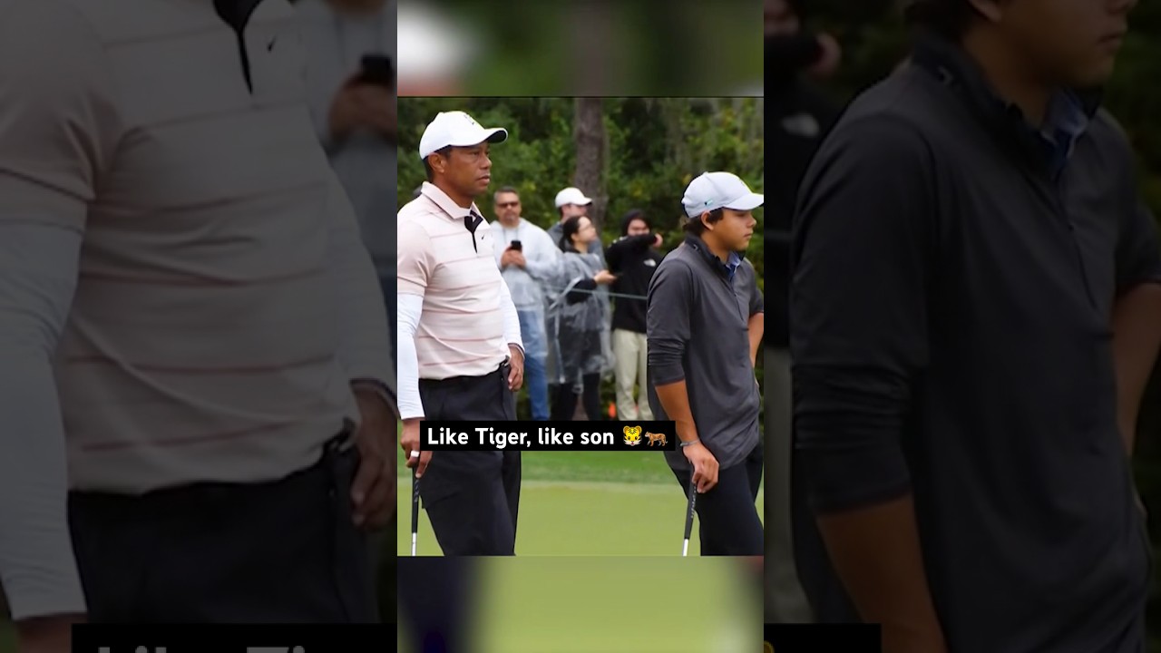 The resemblance between Charlie and Tiger Woods is uncanny 🔥