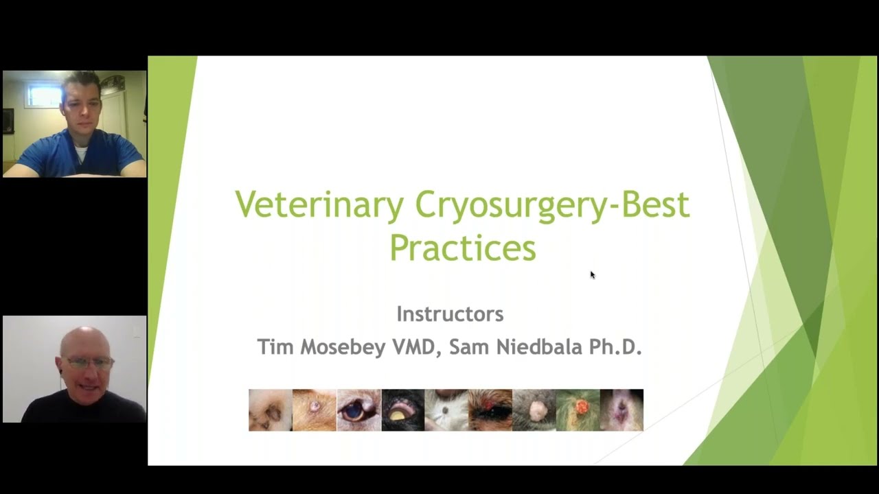 Veterinary Cryosurgery Updates   Review of Technique and Best Practices
