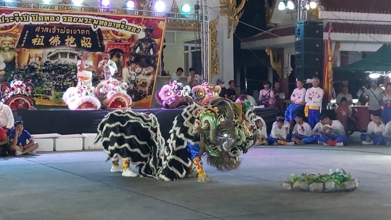สิงโตกินน้ำ สิงโตโบราณลูกเจ้าพ่อเขาตก งานประจำปีวัดราชคฤห์วรวิหาร #ลูกเจ้าพ่อเขาตก #สิงโตกินน้ำ
