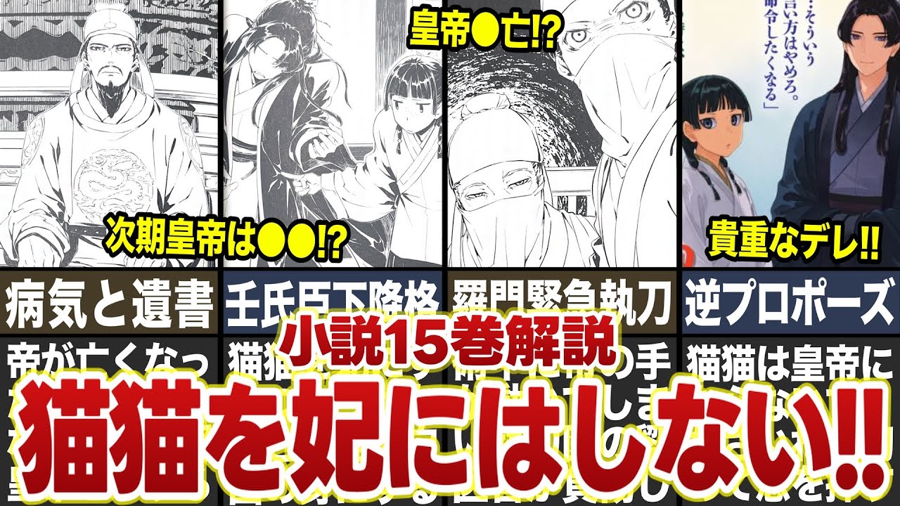 【薬屋のひとりごと】小説15巻「帝の手術編」解説！”猫猫を解放する”壬氏の覚悟と愛がヤバい！！ #薬屋のひとりごと #ゆっくり解説 #猫猫 #壬氏
