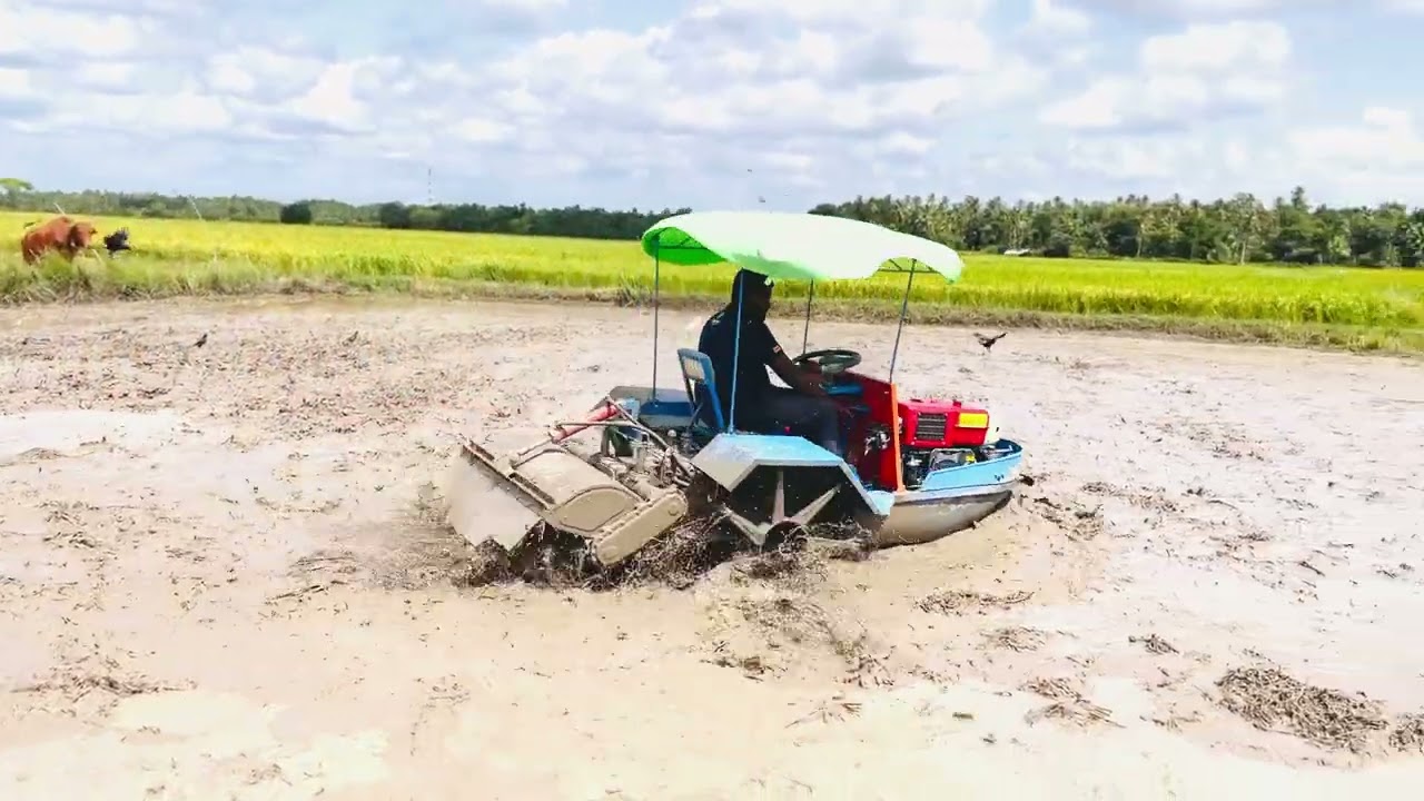 Browns SIFANG Boat Tractor | බ්‍රවුන්ස් සිෆෑන්ග් බෝට්ටු ට්‍රැක්ටරය | Sri Lanka