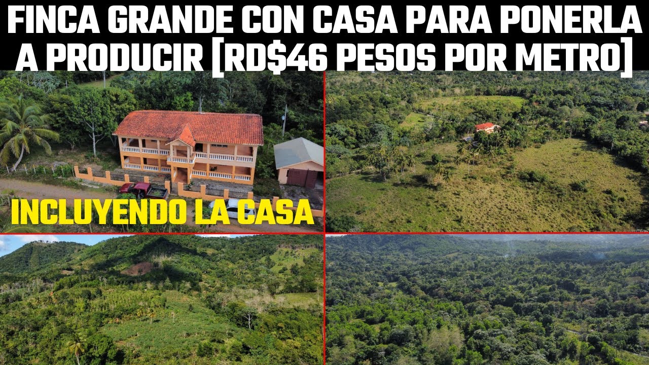 Finca de 1500 tareas con Casa en Yamasá buena para ponerla a producir y con un río cerca