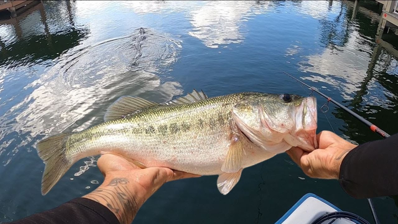 Bassed Around and Found Out!! | Lake Placid, FL