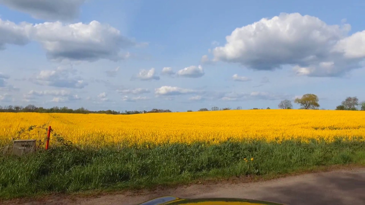 Ausflug mit dem Fahrrad Richtung Sörup