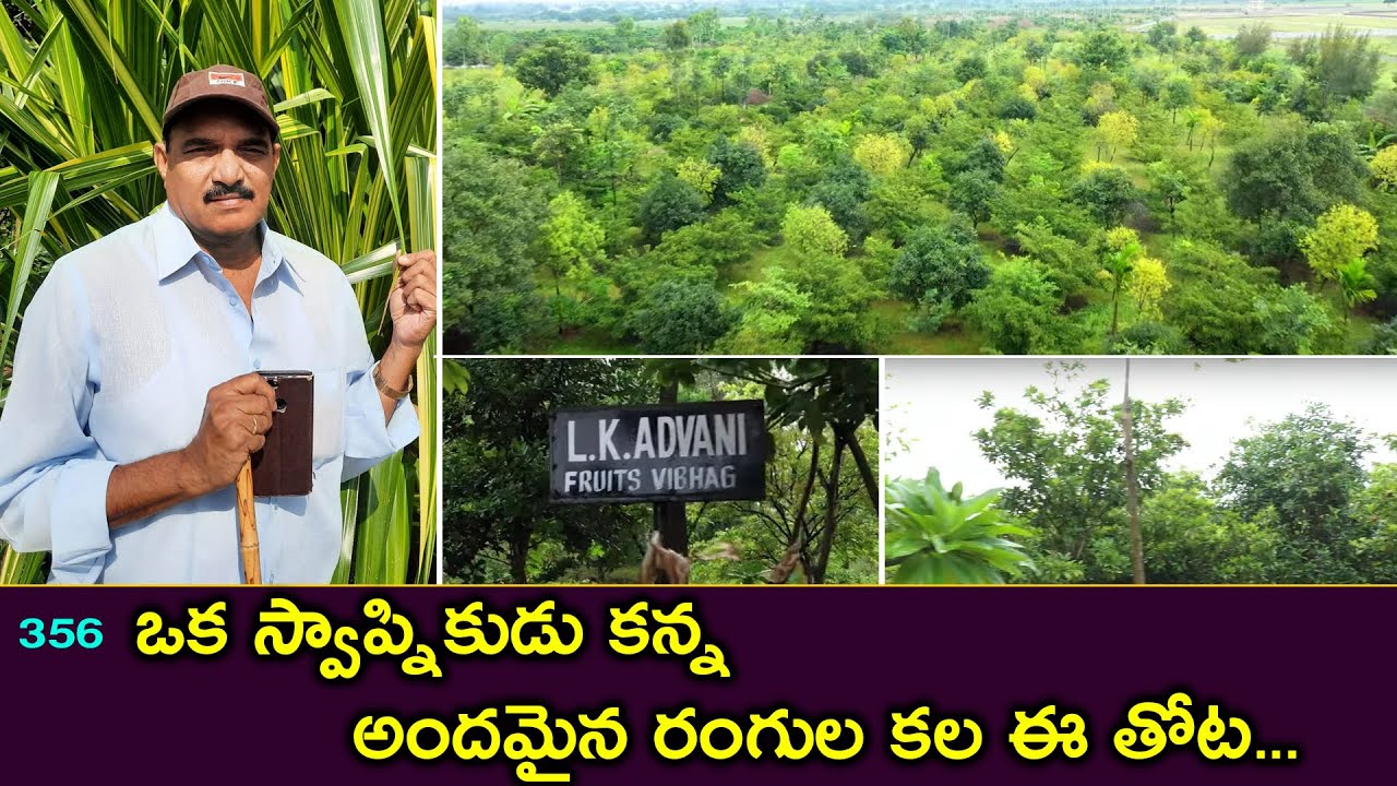Hari babu created a food forest within 7 yrs||hari babu ||natural farming