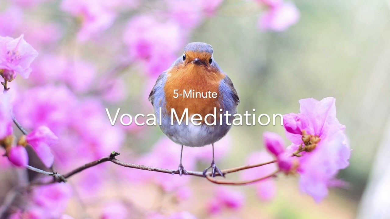 Guided Humming & Vocal Toning Meditation | Self Love Sound Healing | 5-Minute Vagus Nerve Massage