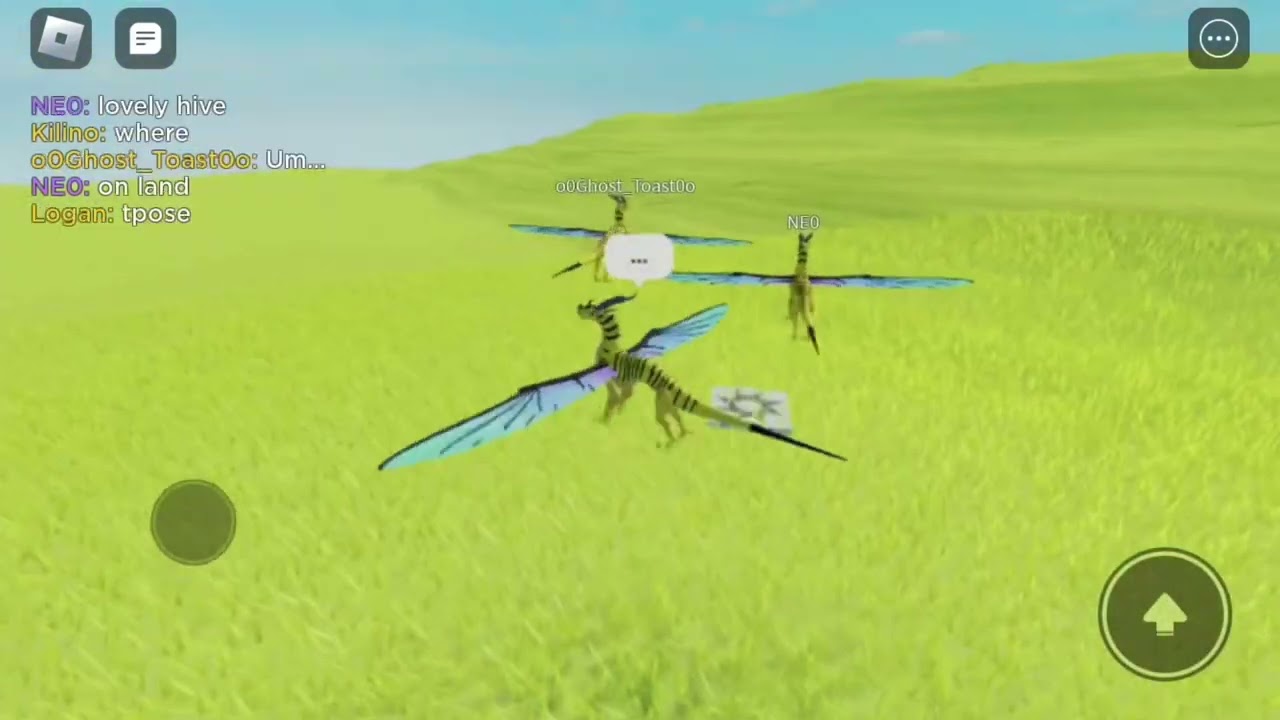 wings of light testing (staff only)