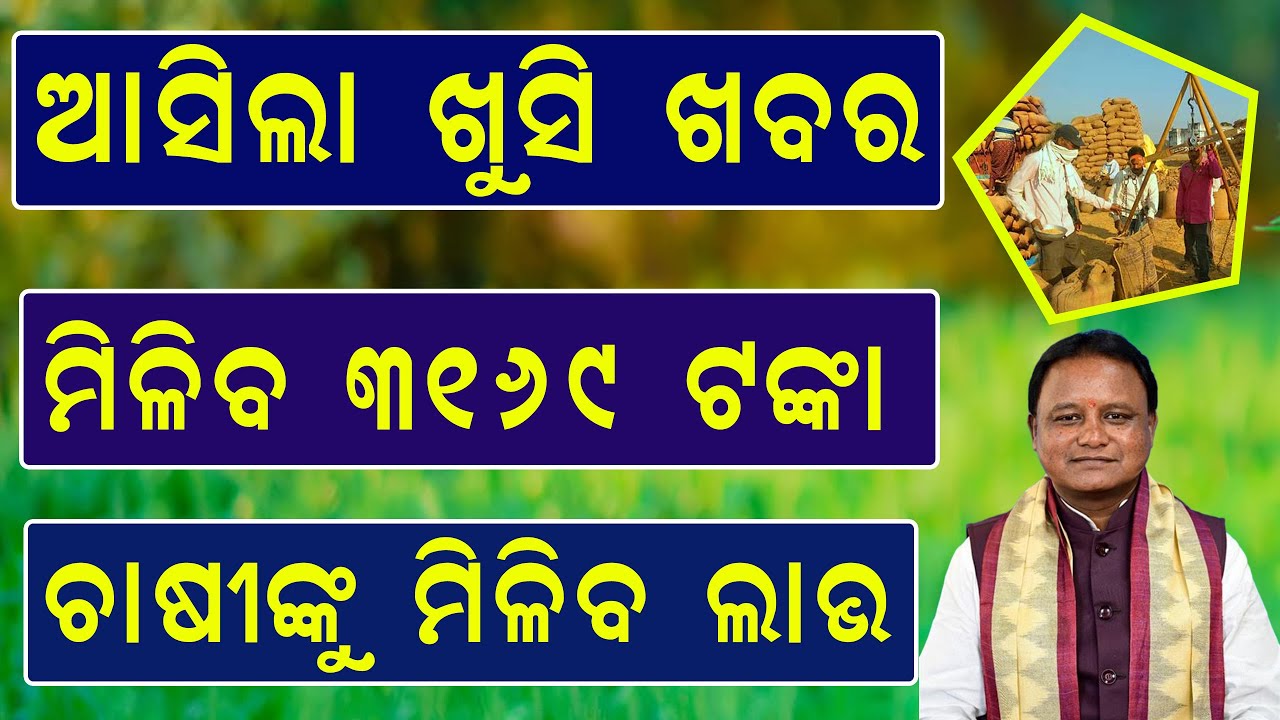 Odisha Mandi Price 2025: Farmer Will Get ₹3169/Quintal! Big Update