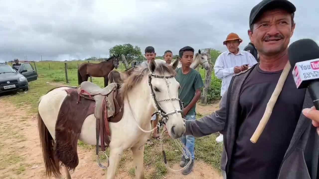 Feira de Cavalos em Senador Rui palmeira - AL 19 - 08 - 2025 #nordeste