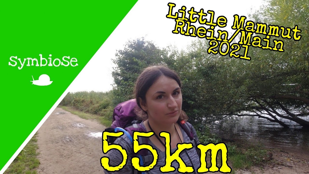 55km LittleMammut Rhein/Main + Nachwort mit Waldspaziergang; mein 1. Video #Mammutmarsch
