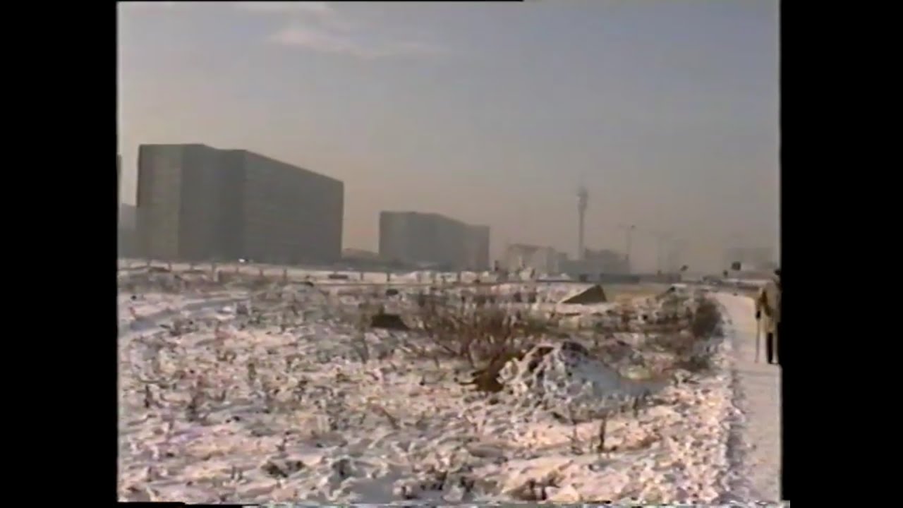 Poznań, Piątkowo: spacer do Żurawińca - 31. 01. 1993