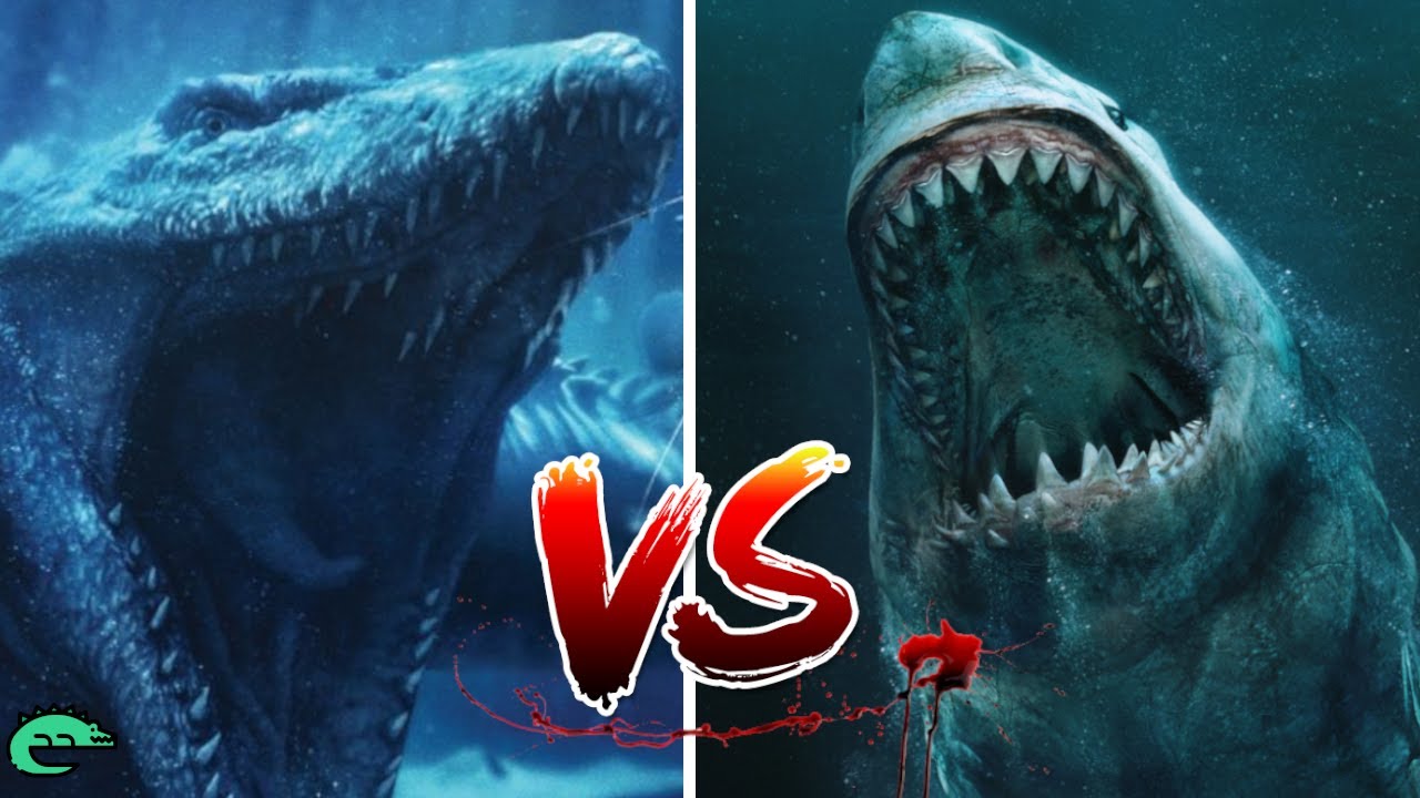 ET SI LE REQUIN MÉGALODON COMBATTAIT LE MOSASAURE ? Que Se Passerait-il ?