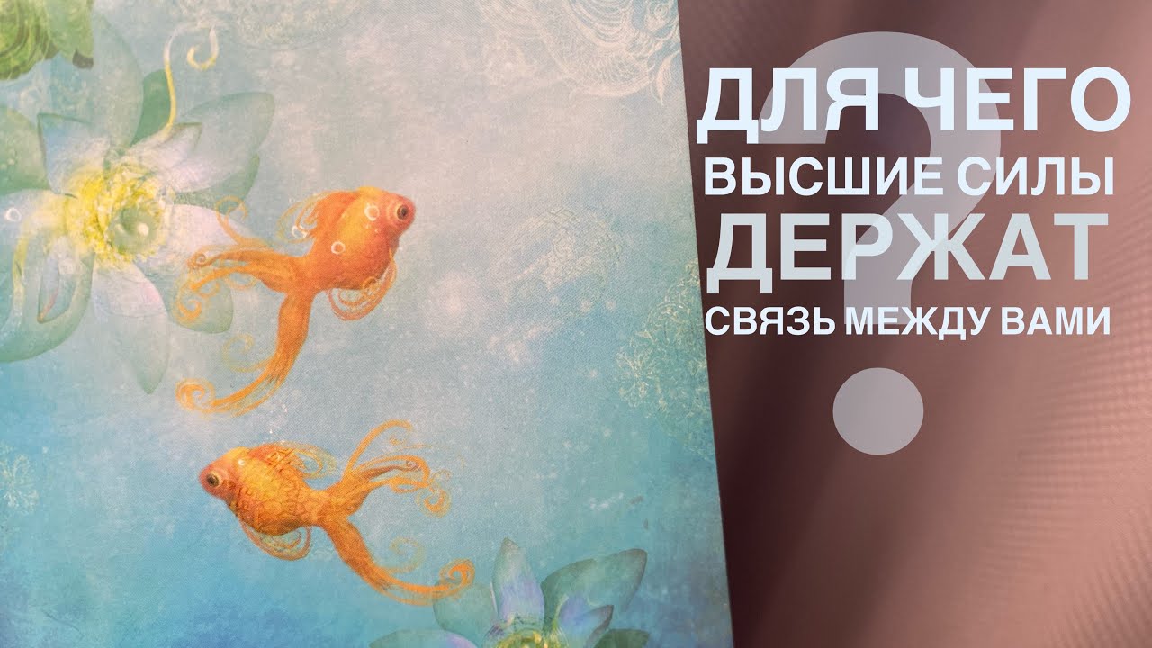 Для чего высшие силы держат связь между вами?