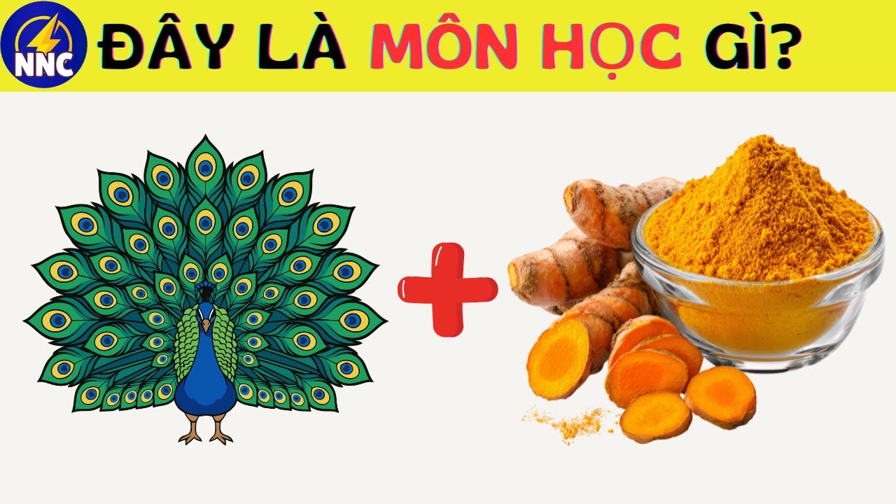 Đuổi Hình Bắt Chữ 📚 Đây Là Môn Học Gì? | 30 Câu – 10 Giây | Nhanh Như Chớp