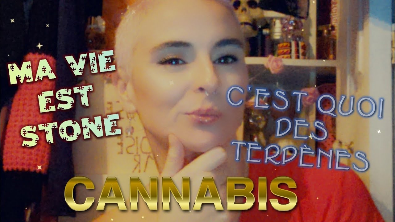 MA VIES EST STONE, Les Terpenes dans le Cannabis ca veux dire quoi