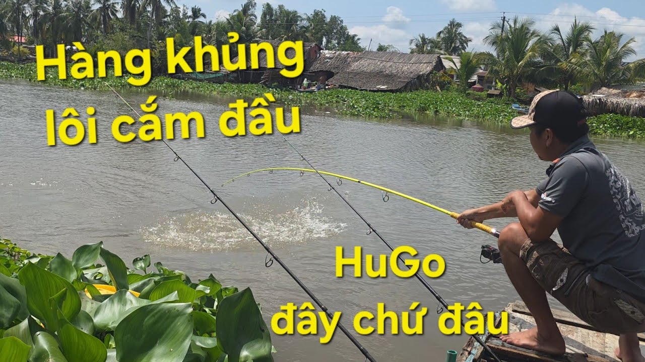 Bỏ Tràm Chim trở về Mỹ Phước trúnh mánh cá khủng điểm câu huyền thoại| Săn bắt SÓC TRĂNG |
