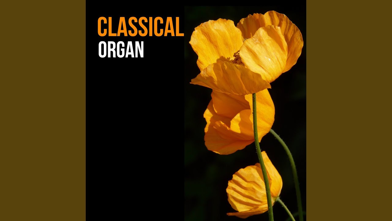 Fugue In A-Flat Minor, Woo8