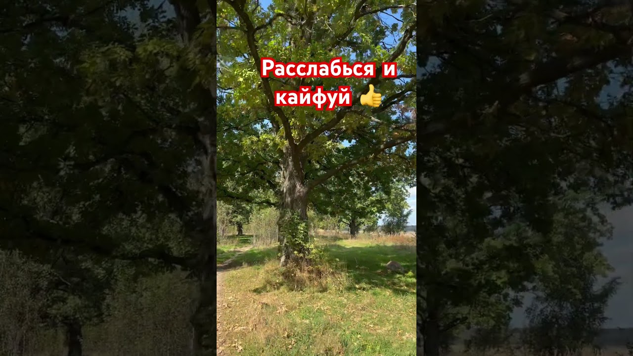 #travel #mountains #rek #природныепейзажи #селивантв #путешествия