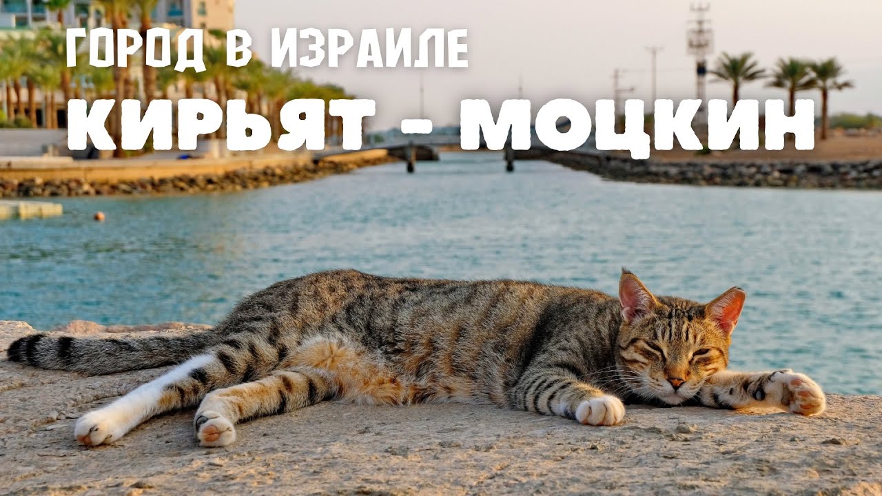 Кирьят-Моцкин - ЛУЧШИЙ пригород Хайфы.