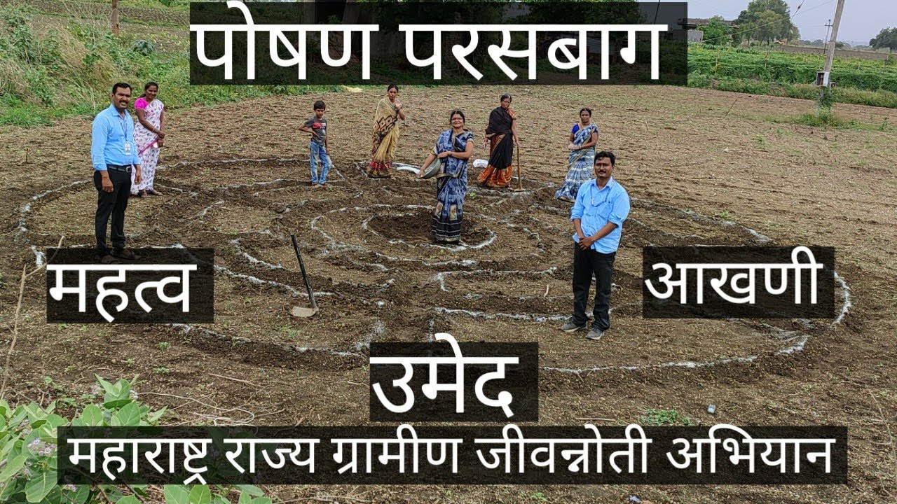 उमेद अभियाना अंतर्गत पोषण परसबाग आखणी | umed abhiyan poshn parasbag of msrlm information in marathi