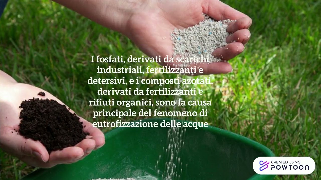 L'eutrofizzazione