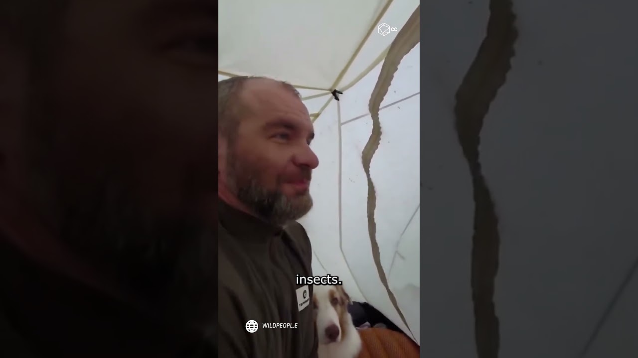 When Siberia&rsquo;s Mosquitoes Attack