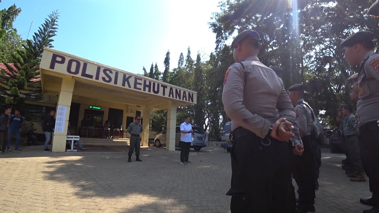 OPGAP POLHUT KINTAP