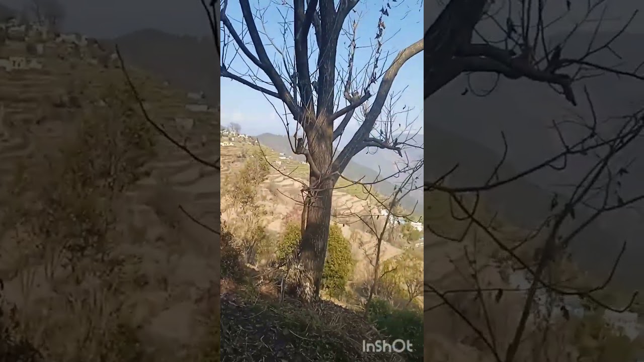 देखे हमारा मोहल्ला सेलधार 