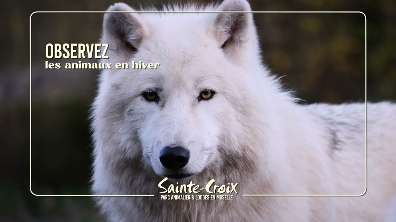 Vivez l'hiver à Sainte-Croix