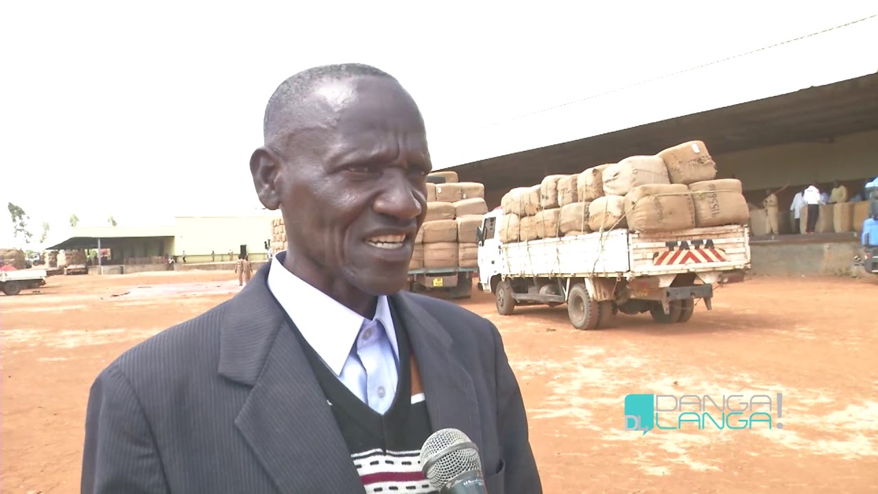 DANGA LANGA ON AUCTION FLOORS - 13TH JUNE 2019