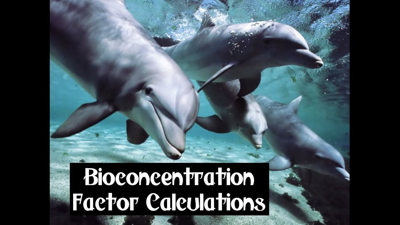 BCF Calculations