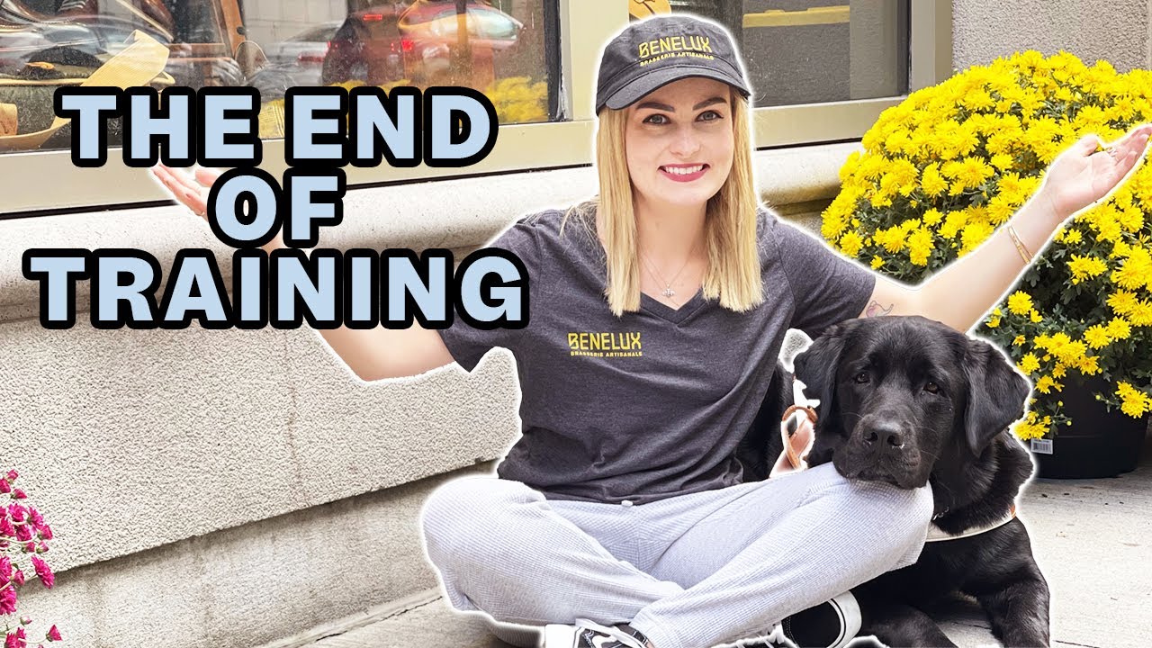 Guide Dog Training on Escalators, Food Refusal, & More!