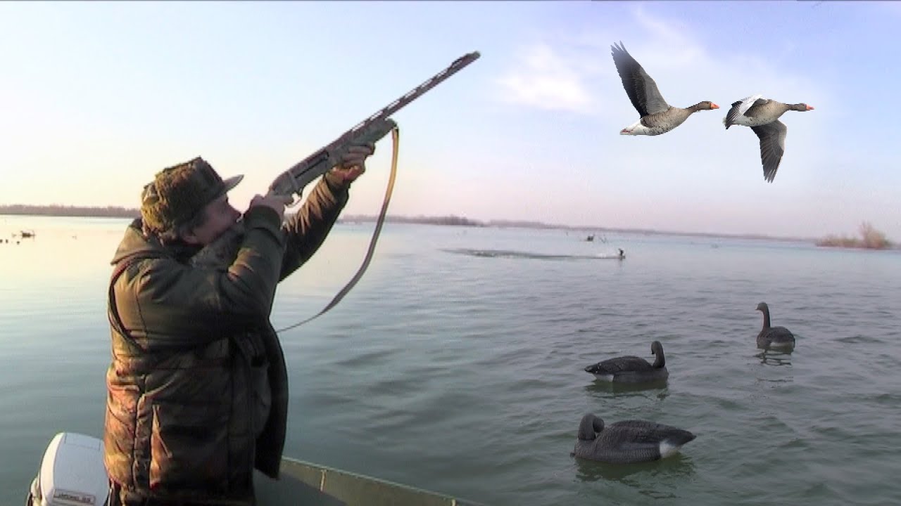 Lov na divlje guske | Lov divlje guske na Dunavu kod Ade Čibuklije | Goose hunting