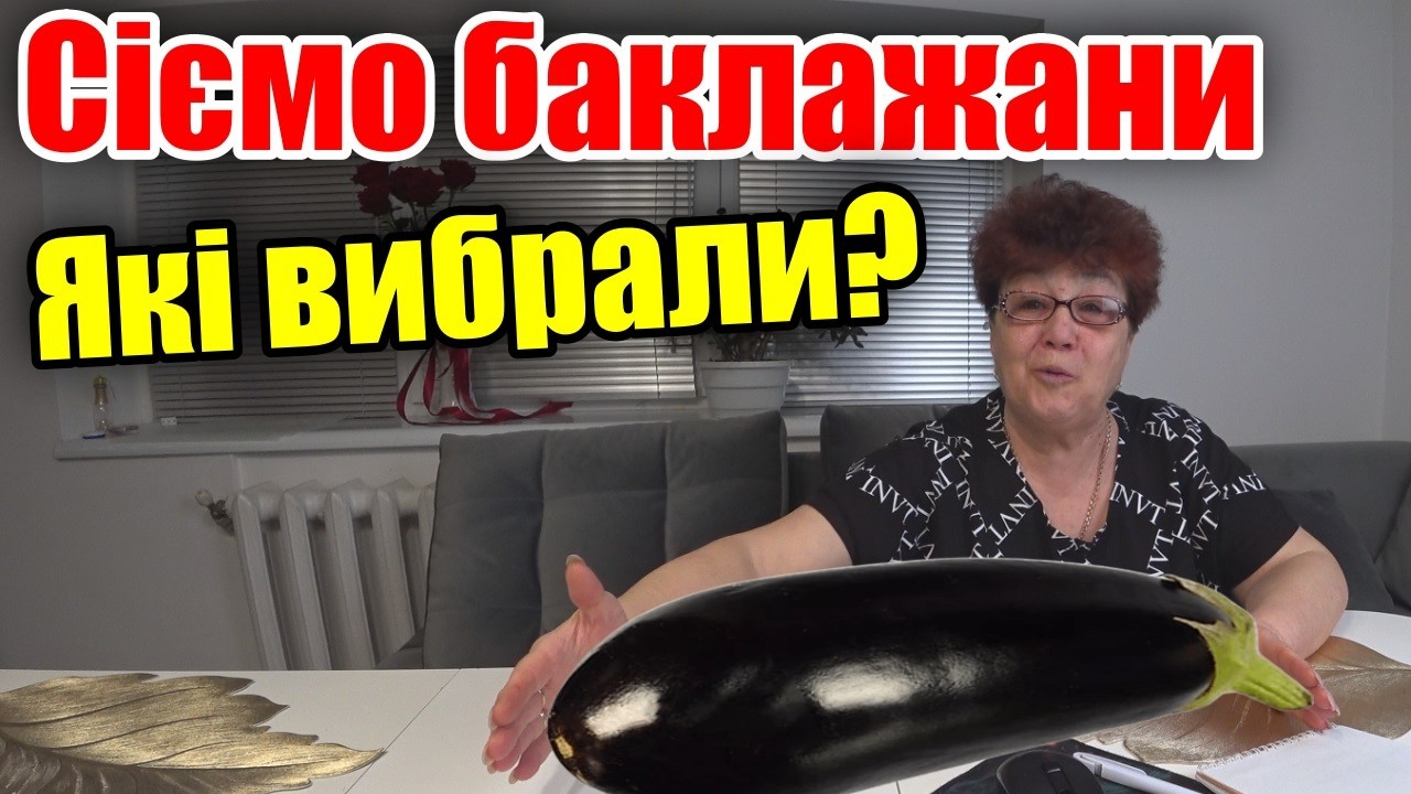 Баклажани. Що сіємо у 2026?