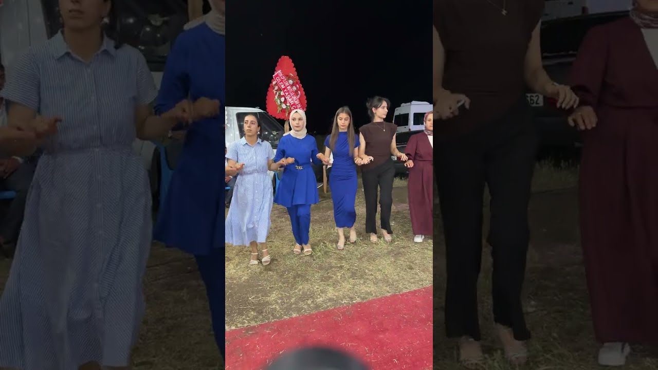 Çam Ailesi - halay başı kafası bozuk 😊😄