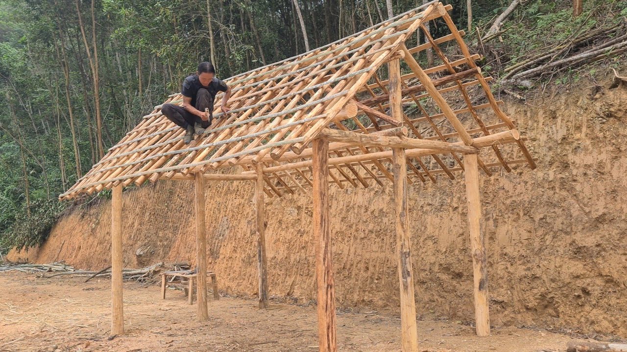 New Hut and Voracious Pets, Forest life, king kong amazon, Fp 273
