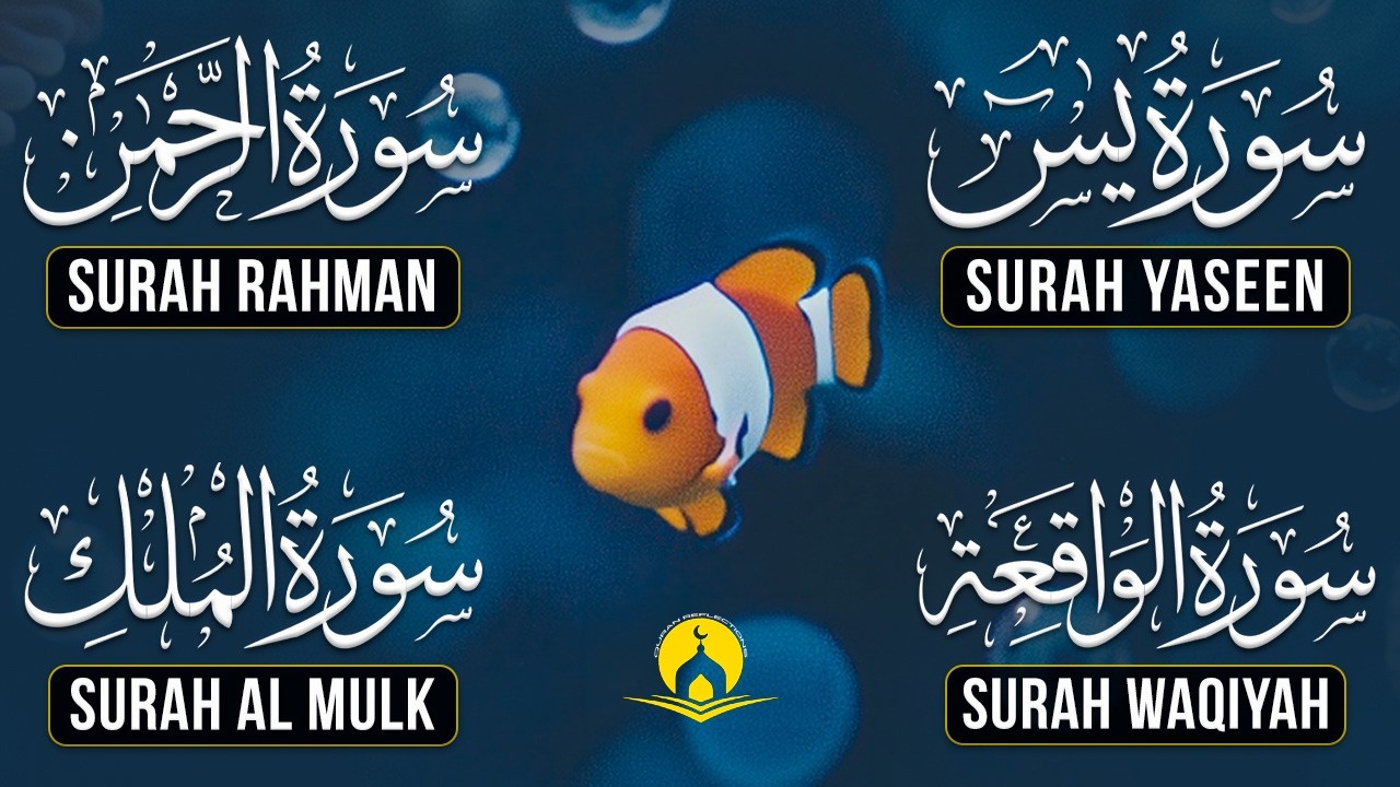 Beautiful Surah Yaseen (Yasin) | Surah Rahman | Surah Waqiah | Surah Mulk |