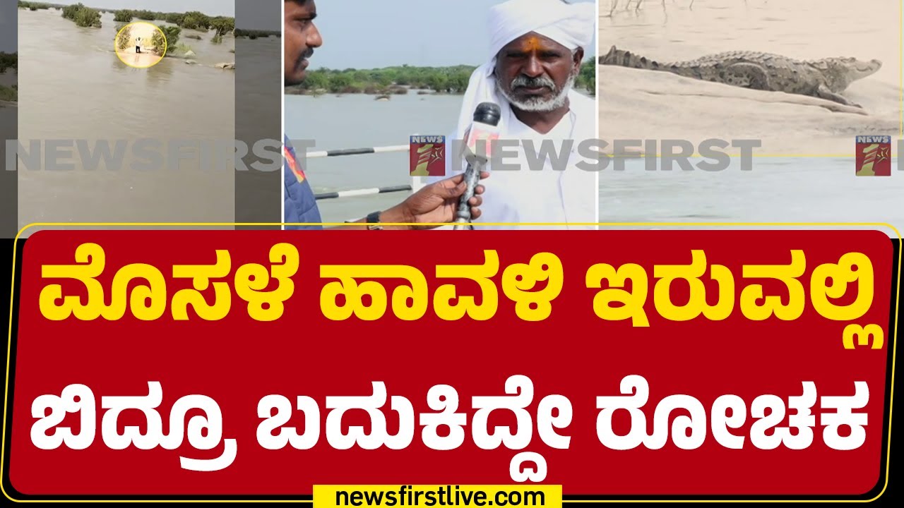 Gurjapur Barrage : Tatappa ಬಚಾವ್ ಆಗಿ ನಿಂತಿದ್ದ ಗಡ್ಡೆಯ ಮೇಲೆಯೇ ಮೊಸಳೆ! | Raichur |@newsfirstkannada