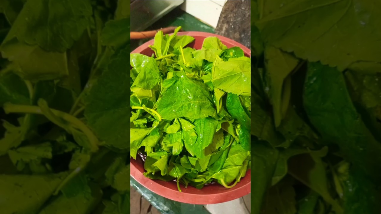 Laafa Sag Ra Masino Macha Ko Jhol 😋🤗